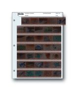 Print File 35mm Pages 5 frames x 7 rows - 25Pk