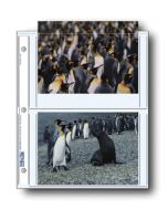 Print file to hold 4 5x7 prints