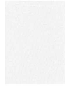 Promaster White 6' x 10' Backdrop