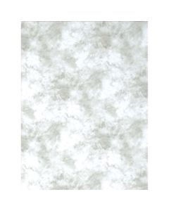 Promaster  Cloud Dyed Backdrop 10' X 12' LIGHT GRAY #9199