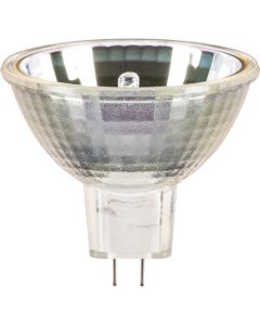 Eiko ELH 120v/300watt