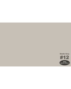 Savage Widetone Seamless Background Paper - #12  Studio Gray - 107" x 12yd